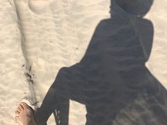 -黄金海岸