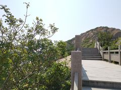 -洋山深水港