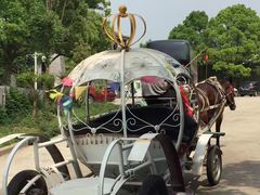 -陶祖圣境风景区