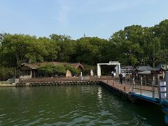 -金鸡湖桃花岛