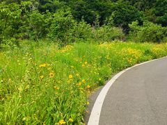 -青龙山国家森林公园
