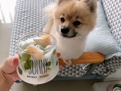 -1点点(河南中路店)