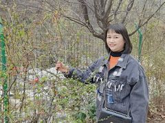 -沣峪森林公园龙潭戏水景区