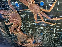 -好兄弟郭巨海鲜(天一阁店)