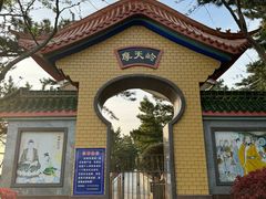-摩天岭风景区