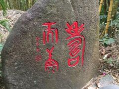 -呀诺达热带雨林