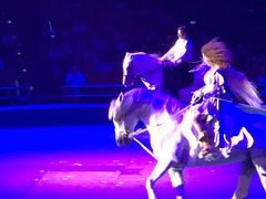 -珠海横琴长隆《卡卡虎奇遇记》