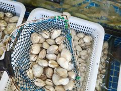 -红月湾海鲜饭店•沙滩海景(双月湾店)