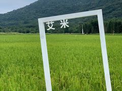 -艾米稻香小镇