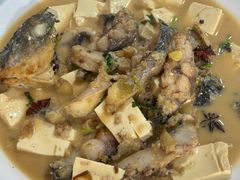 -煲来饱去冷水鱼