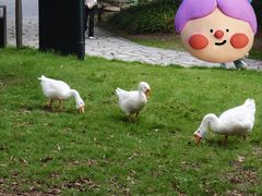 -中国丝绸博物馆