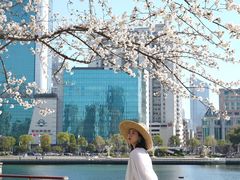 -西北湖绿化广场