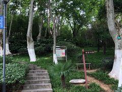 -菊花台公园