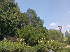-元大都城垣遗址公园
