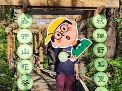 -大岭沟猕猴桃谷风景区
