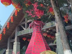 -铁山坪森林公园