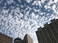 -中国医科大学附属盛京医院(南湖院区)