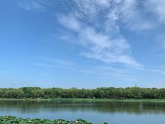 -素心小筑(后沙裕镇店)