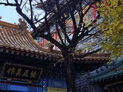 -千佛山风景名胜区