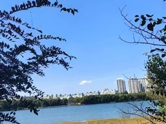 -长白岛森林公园