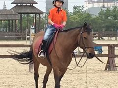 -松声马术俱乐部