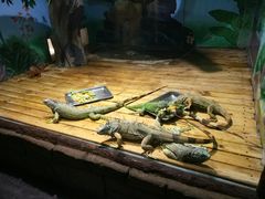 -石家庄市动物园