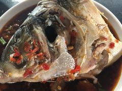 -老杨砂锅鱼庄