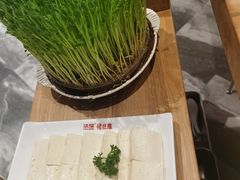 -好彩猪肚鸡(正弘城店)