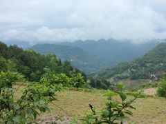-鹿院坪生态旅游景区