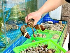 -富临港蒸汽海鲜(栈桥店)