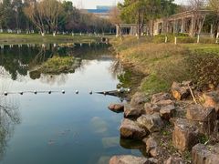 -东南大学(九龙湖校区)