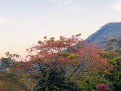 -广州百花山庄度假村(增城万达广场店)