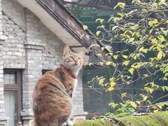 -重庆十八梯传统风貌区