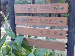 -共青国家森林公园-售票处
