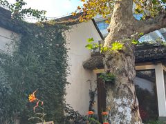 -鲤院·新中式美学·庭院餐厅(夫子庙店)