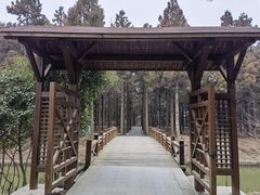 -东平国家森林公园