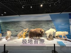 -中国湿地博物馆