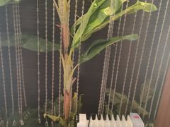-北丽宫水疗会(宝利来国际大酒店店)