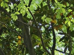 -苏州河梦清园环保主题公园