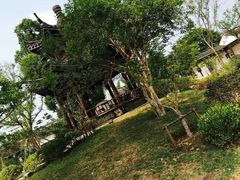 -梁鸿国家湿地公园