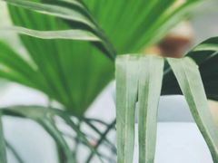 -北马山庄植趣咖啡
