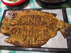 -向外鱼乐·土菜·虹鳟鱼