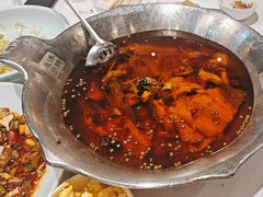 -沸腾鱼乡(知春路分店)
