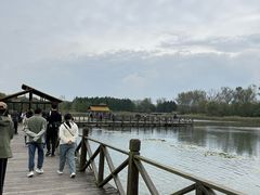 -溱湖国家湿地公园
