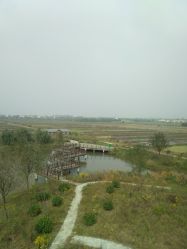 -水八仙生态园