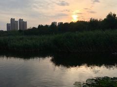 -前关湿地公园