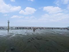 -江山半岛白浪滩景区