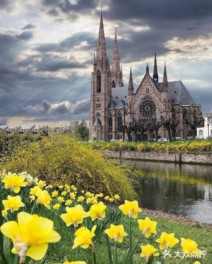 因而该市在语言和文化上兼有法国和德国的特点