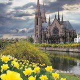 因而该市在语言和文化上兼有法国和德国的特点