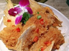 -淘米捞·米汤脆鲩鱼火锅(福田皇岗店)
